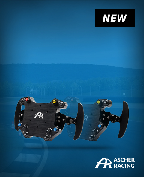 SimRacing